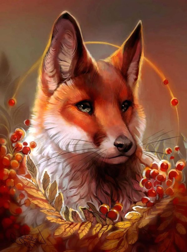 красивые рисунки лисы