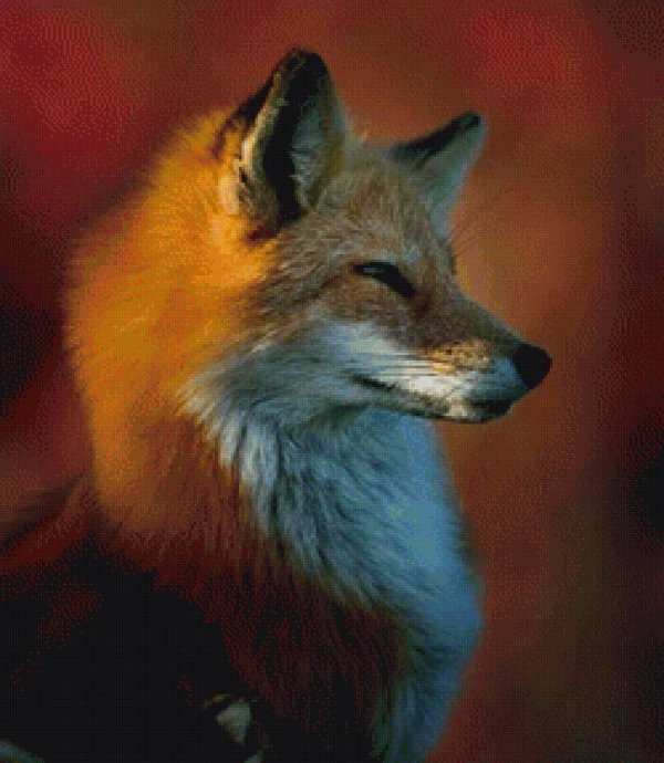 картина лиса