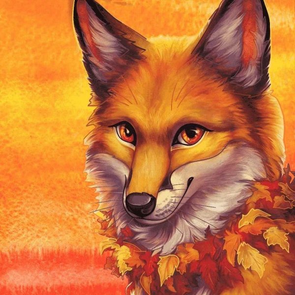 красивые рисунки лисы