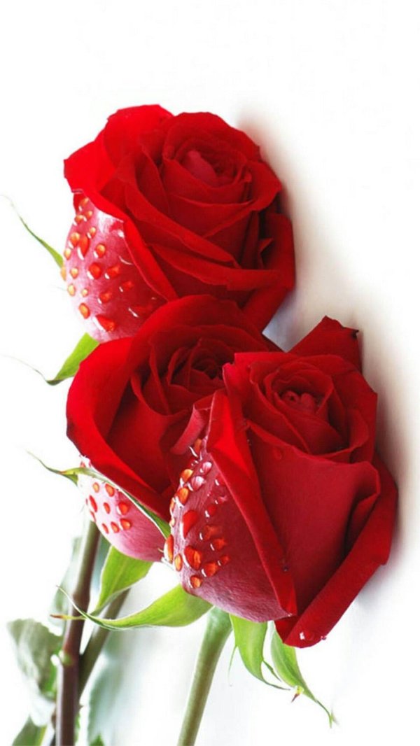 цветочки для любимой