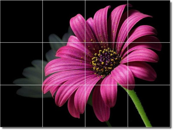 цветок яркий