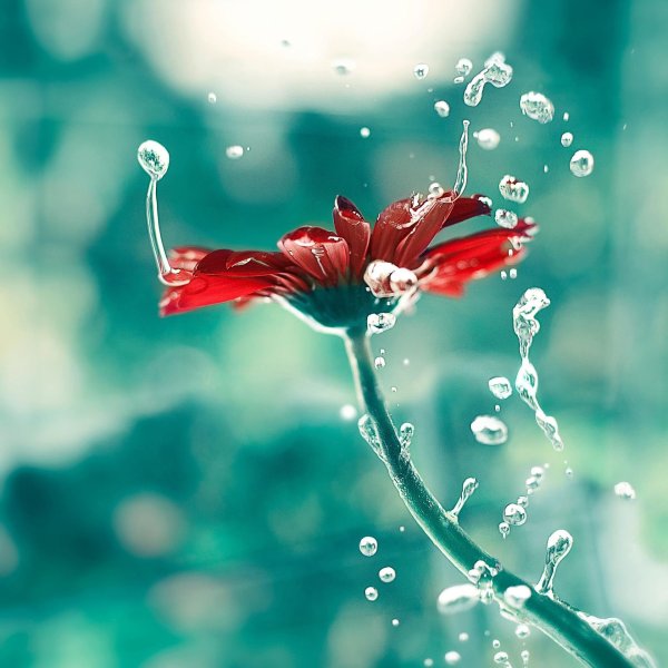 доброе утро душевного спокойствия