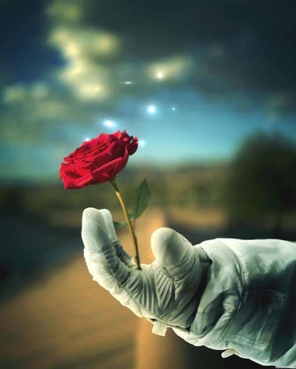 с розой в руках