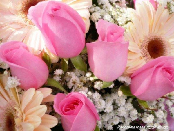 очень красивые букеты цветов