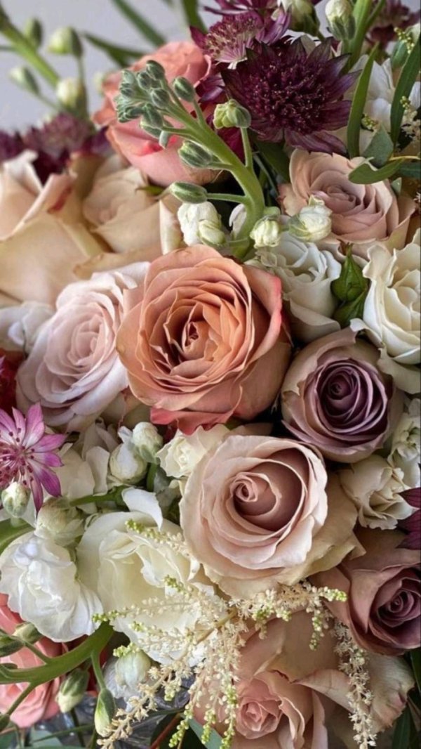 розы кофейного цвета