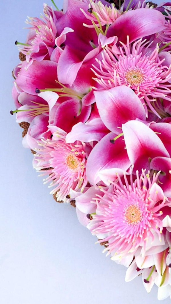 букет герберы и лилии