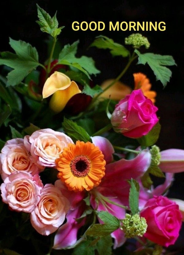 доброе утро