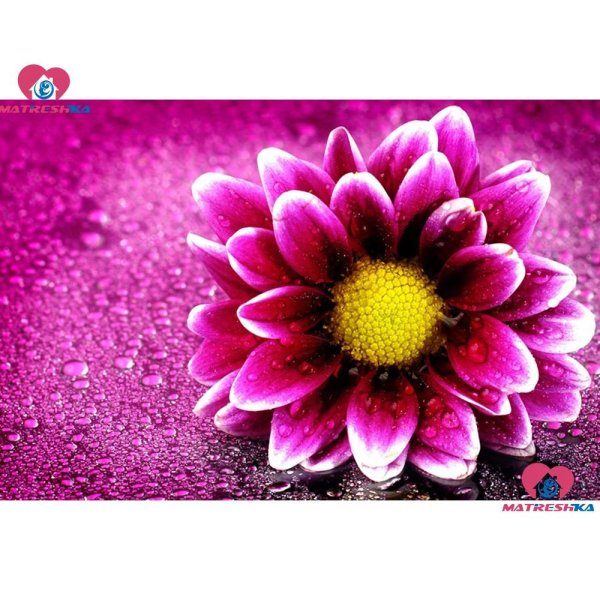 цветочек красивый