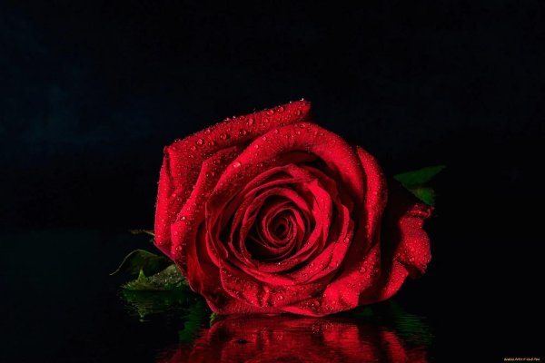 Для аватарки с цветами