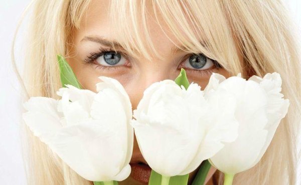 тюльпан mondial