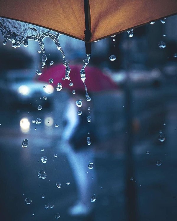 день прогулокплд дождем