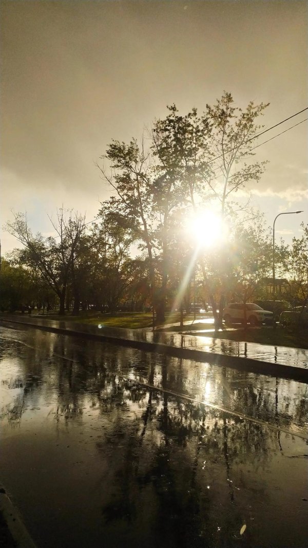 красивый дождь