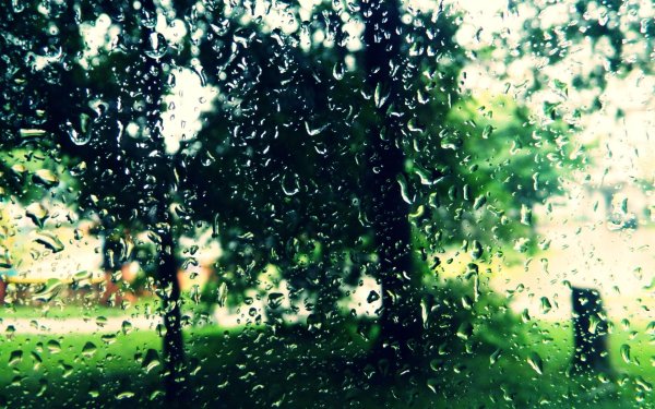 фон с дождем