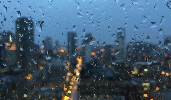 капли дождя на окне