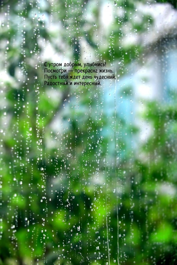 летние дожди