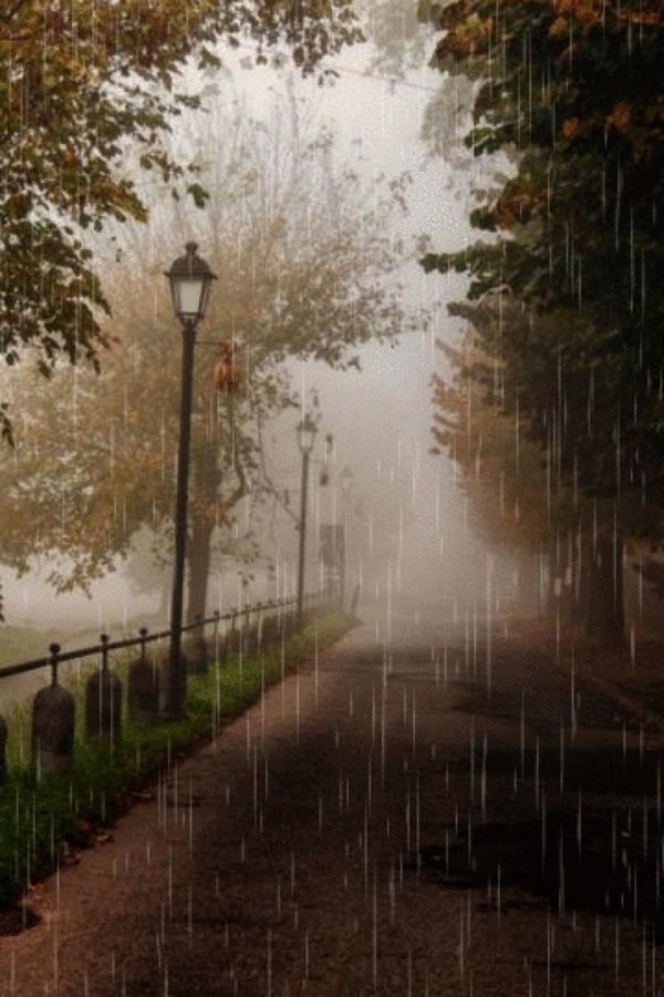 дождливый пейзаж