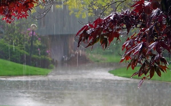 дождливая осень