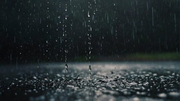 дождливые дни