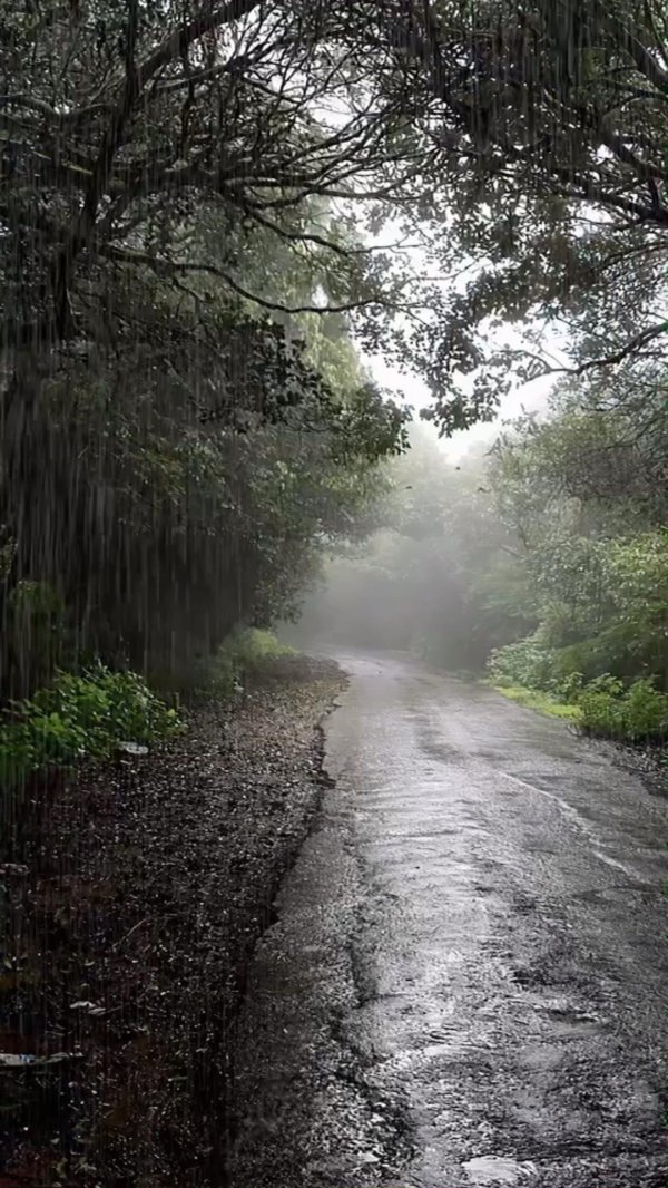 rainy road