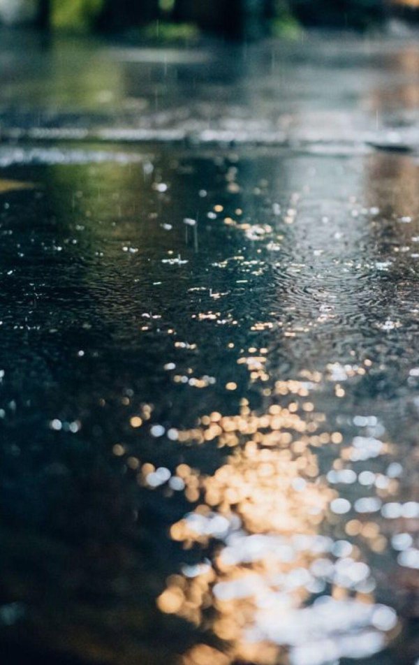 дождливые дни