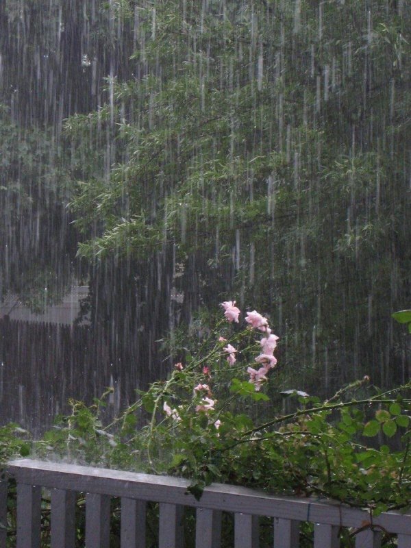 дождь эстетика