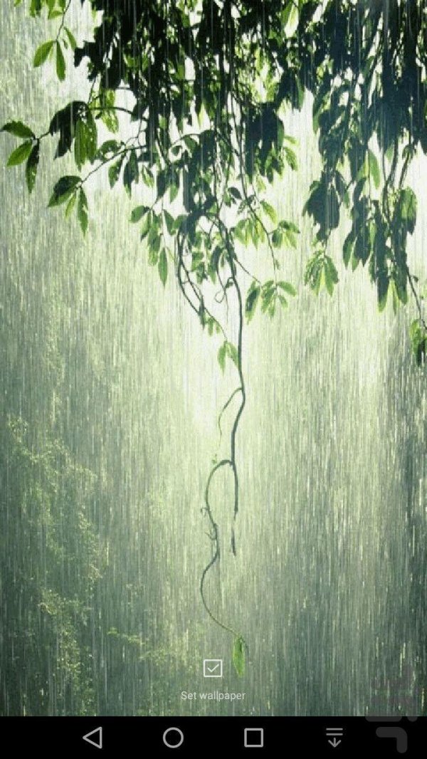 фон с дождем