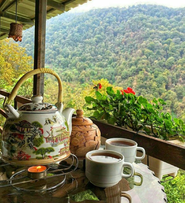 доброе утро завтрак на природе