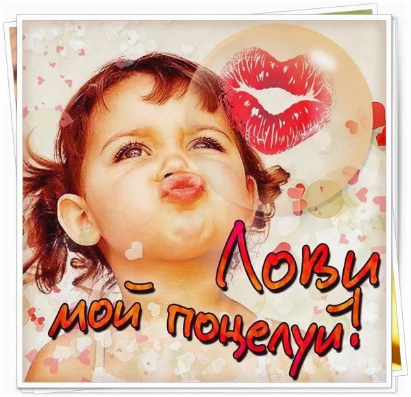 открытка целую