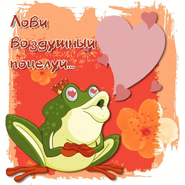 лягушки влюбленные