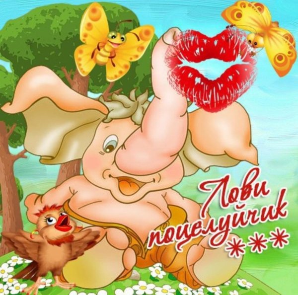 целую открытка