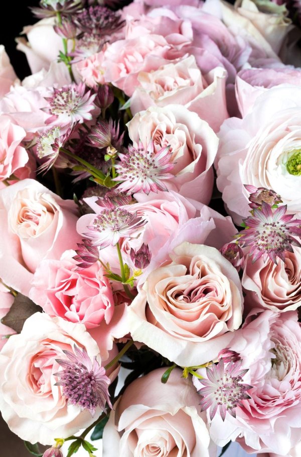 красивые нежные букеты