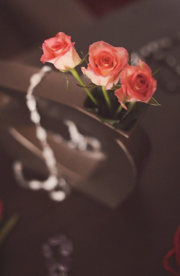 красивая цветы