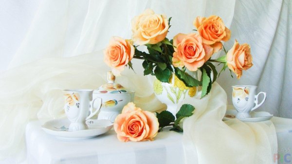 натюрморт с розами