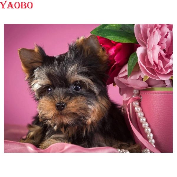 йоркширский терьер