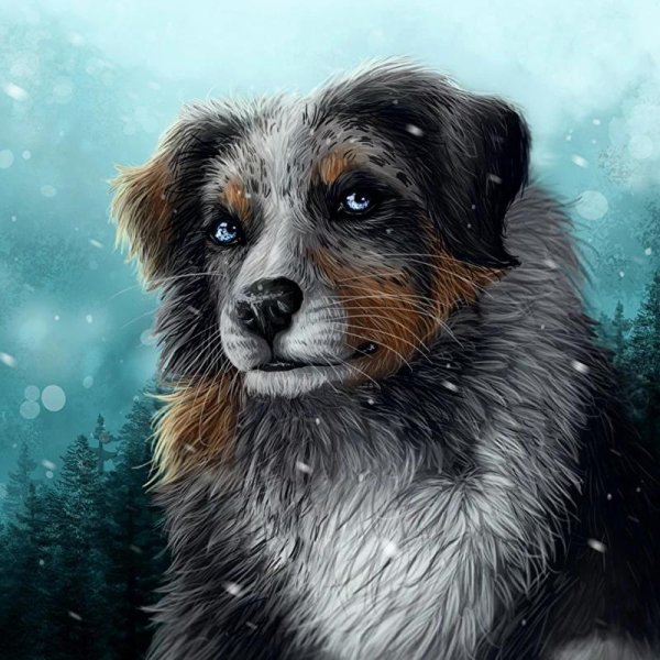 заставки на телефон собаки