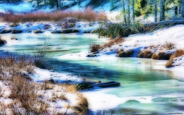 красивые пейзажи ранней весны