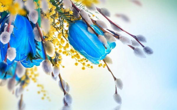 с вербным воскресеньем