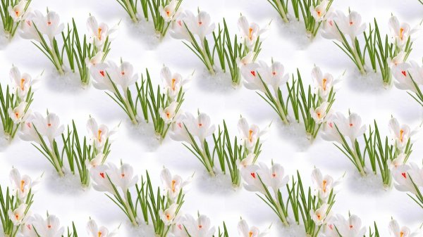 1 марта первый день весны