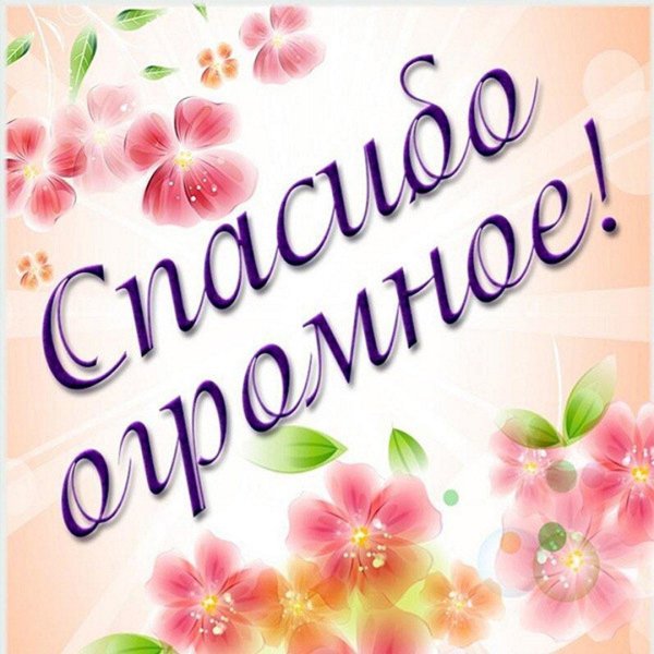 красивая открытка с благодарностью