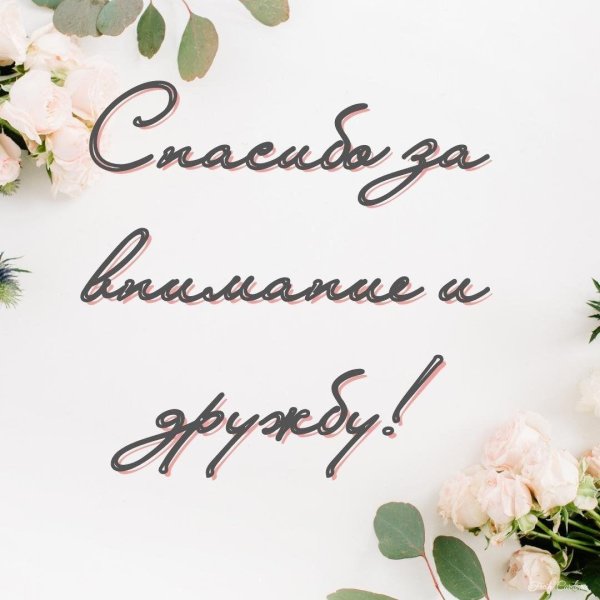 слова благодарности