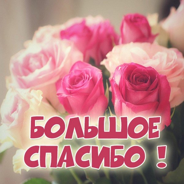 красивая открытка с благодарностью