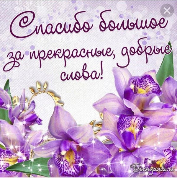 слова благодарности