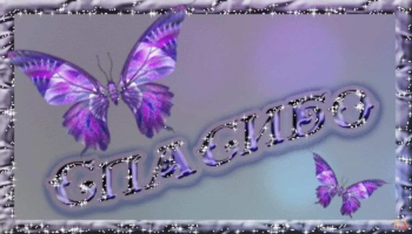 спасибо бабочки