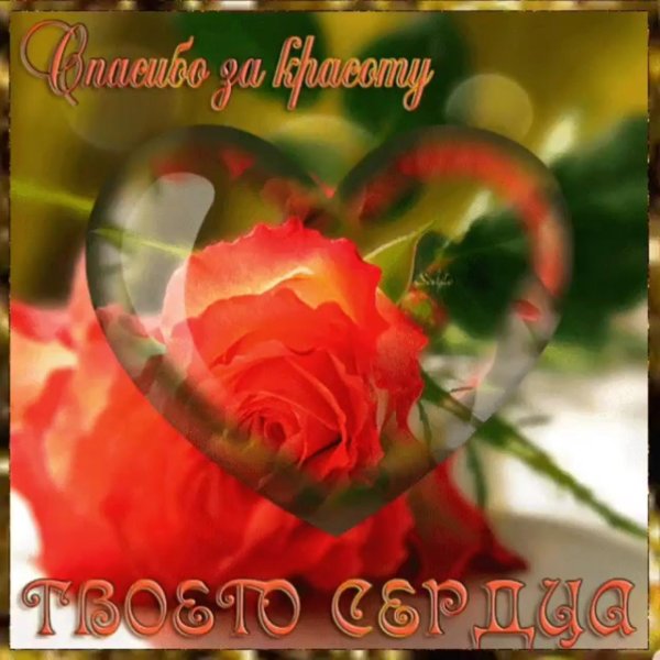 благодарю от всего сердца