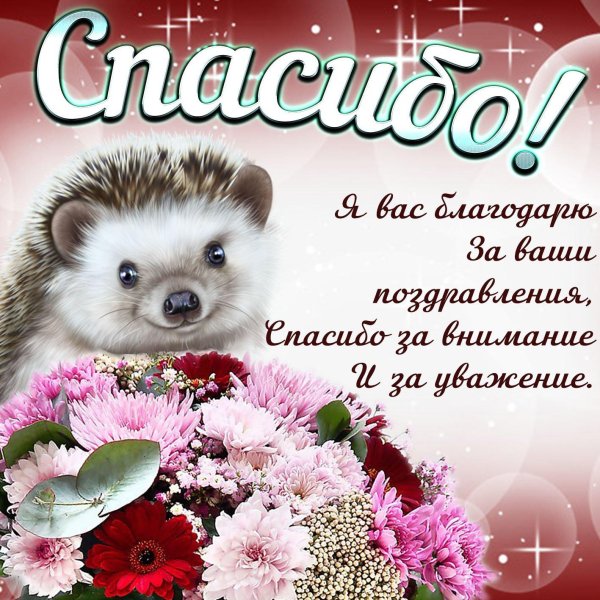 благодарю вас за поздравления