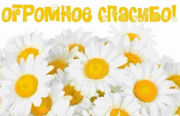 с ромашками