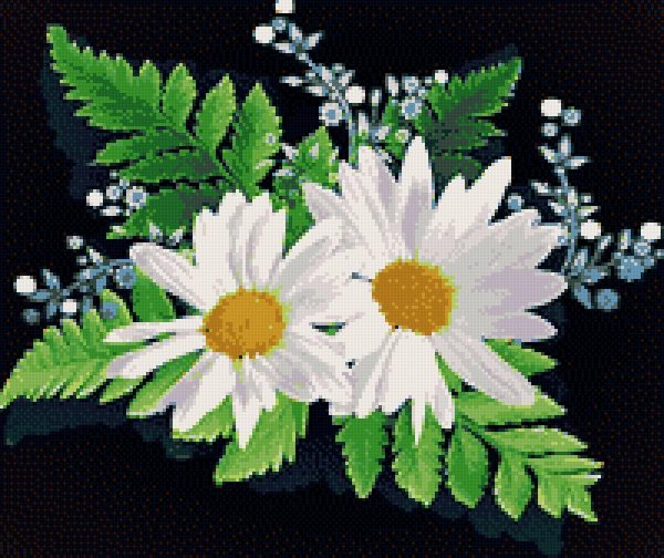 вышивка ромашка