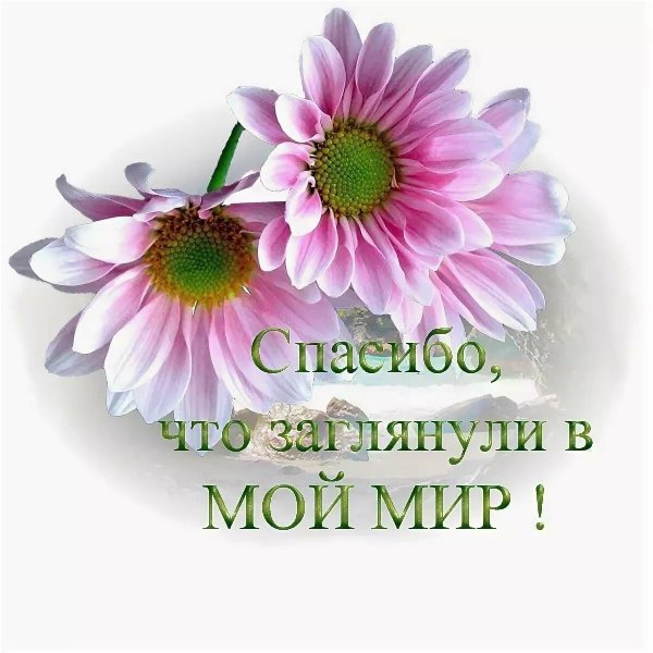 открытка с благодарностью