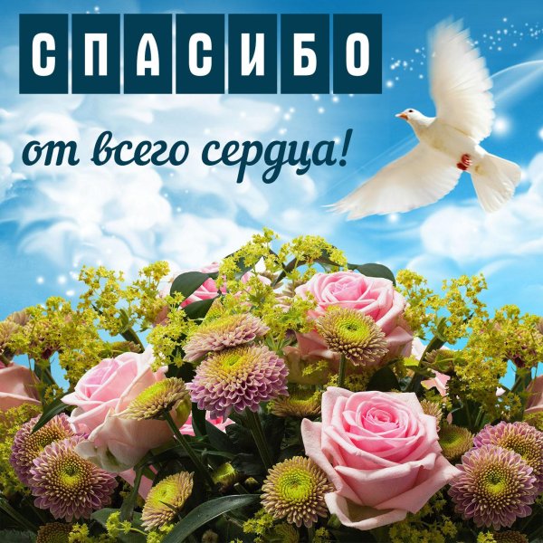 благодарим от всей души