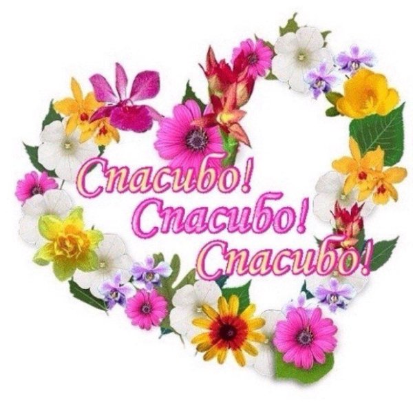 красивое спасибо